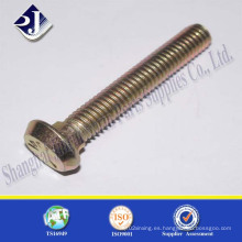 Carriage Bolt 4.8 SGS con Good Quanlity